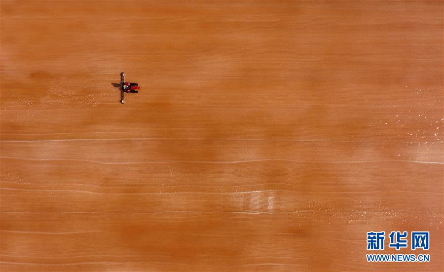 （經濟）（5）收獲海鹽