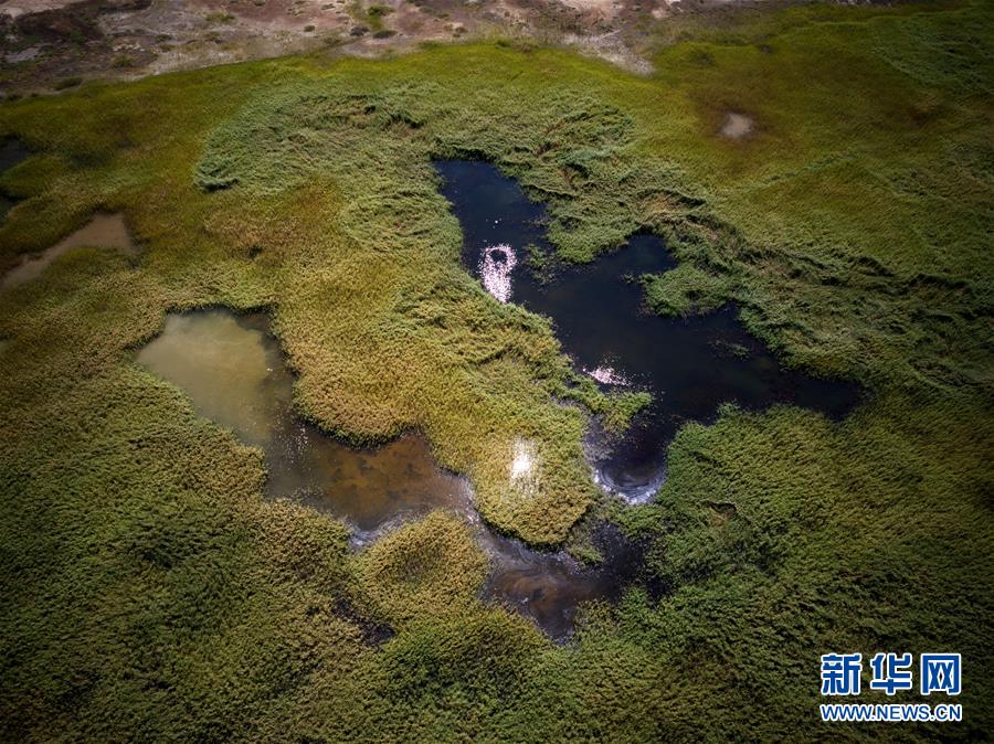 (環境)(2)湖沙相映